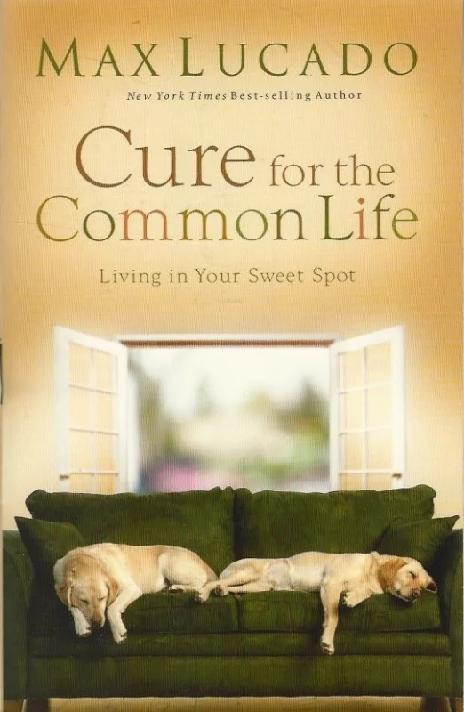 Gecertificeerd Cure for the common life : living in your sweet spot – Max Lucado