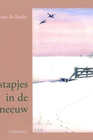 Voetstapjes in de sneeuw – W.G. van de Hulst (13e druk) Koop Online