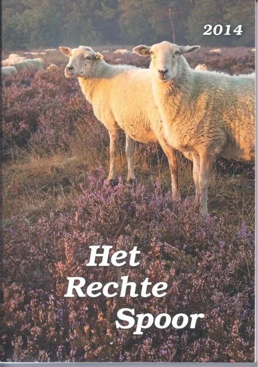 Hoge Kwaliteit Het Rechte Spoor 2014 – Anton van Dongen