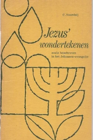 Alleen Vandaag Jezus’ wondertekenen : zoals beschreven in het Johannes-evangelie – C. Noordzij