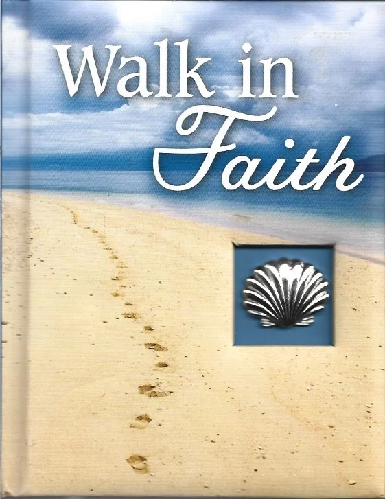 Beste Prijs Walk in Faith (Deluxe Daily Prayer Books) – Marie D. Jones