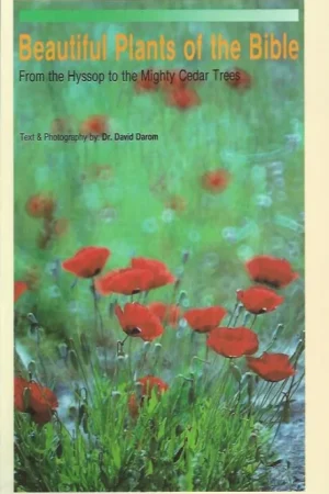 Beautiful Plants of the Bible : From the Hyssop to the Mighty Cedar Trees – Dr. David Darom Beperkte Voorraad