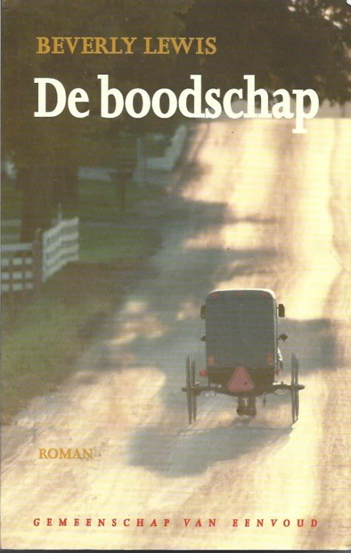 De Boodschap –Beverly Lewis Nu Kopen