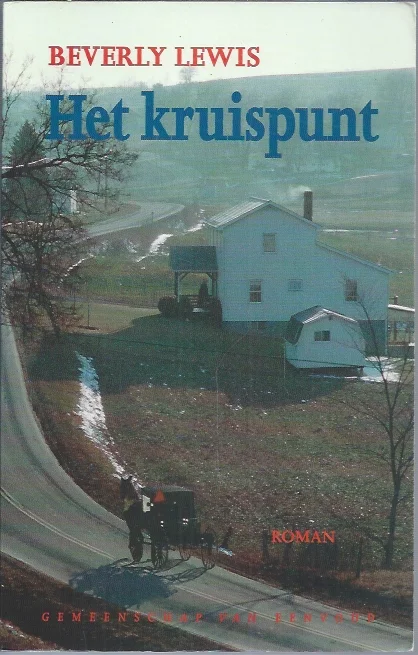 Voordeelprijs Het kruispunt : roman – Beverly Lewis (ex bibliotheekboek)
