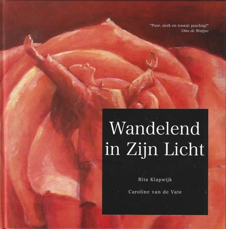 Favoriet Wandelend in Zijn Licht–Rita Klapwijk, Caroline van de Vate
