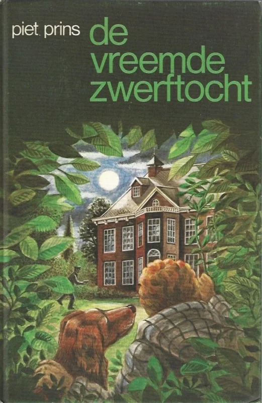 Uitverkoop De vreemde zwerftocht – Piet Prins