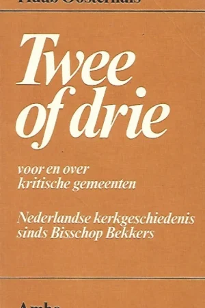 Actieprijs Twee of drie : voor en over kritische gemeenten : Nederlandse kerkgeschiedenis sinds bisschop Bekkers – Huub Oosterhuis