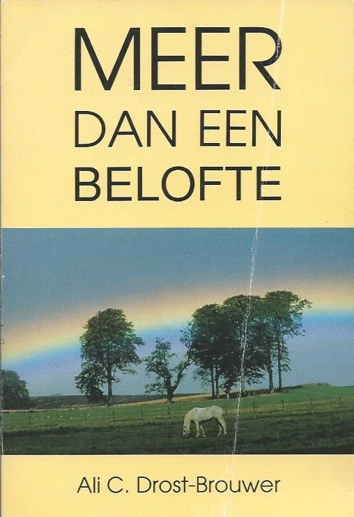 Meer dan een belofte – Ali C. Drost-Brouwer (2e druk, kaft vouwtje) Gratis Verzending
