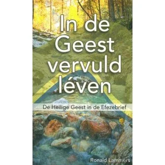 Uitverkoop In de Geest vervuld leven - Ronald Lammers