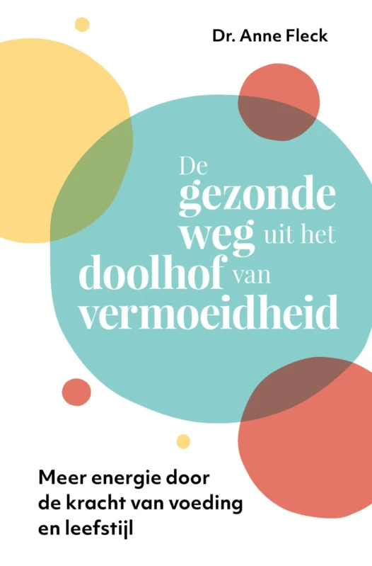 Betaalbaar De gezonde weg uit het doolhof van vermoeidheid