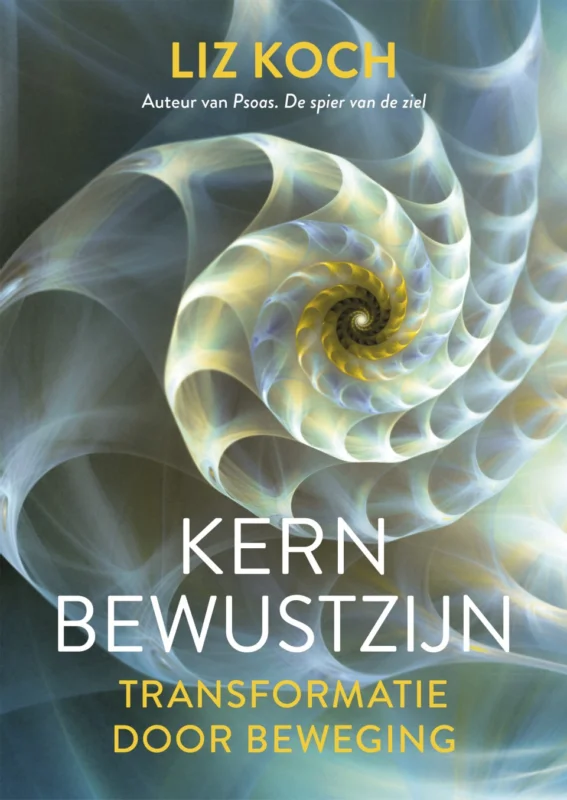 Direct Beschikbaar Kernbewustzijn