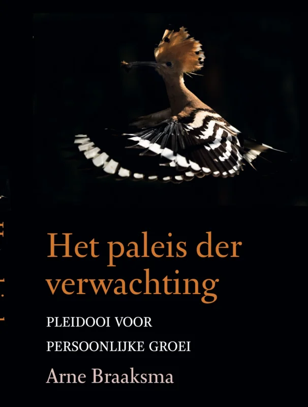 Alleen Vandaag Het paleis der verwachting