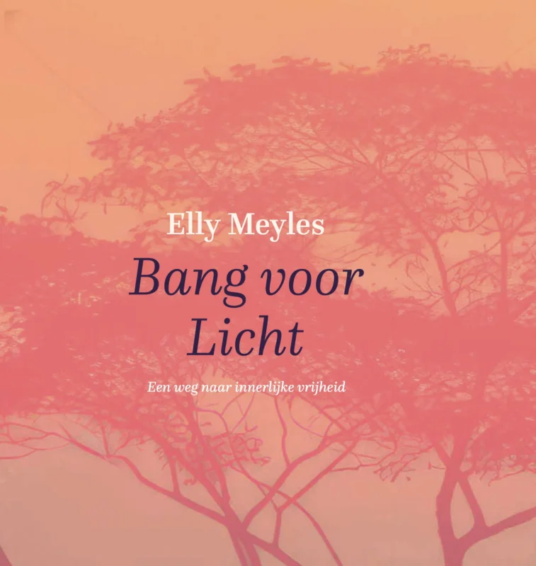 Bestseller Bang voor licht