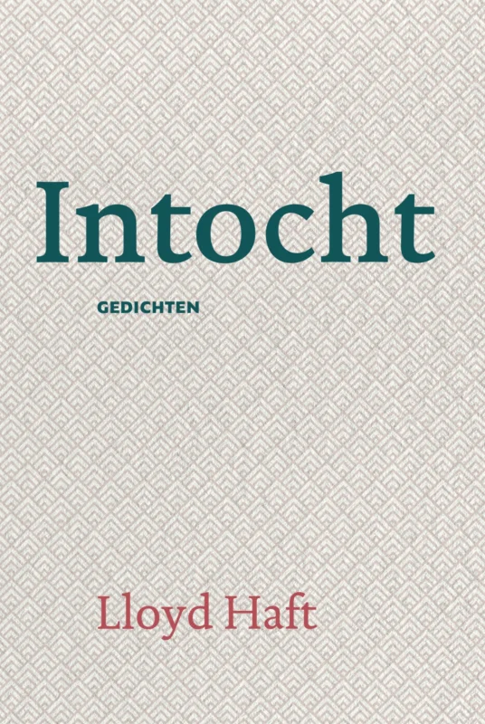Intocht Dagaanbieding