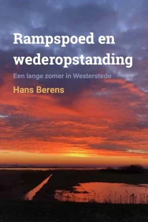 Actieprijs Rampspoed en Wederopstanding