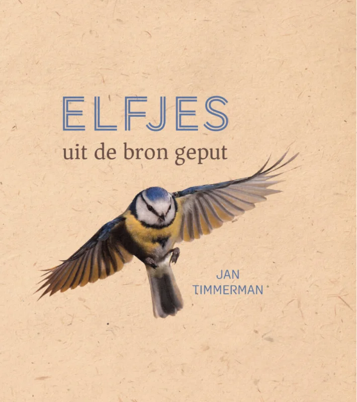 Betaalbaar Elfjes