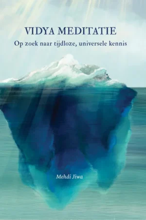 Vidya-meditatie Laatste Kans