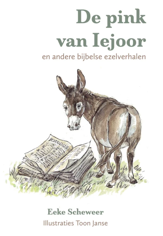 Laatste Kans De Pink van Iejoor