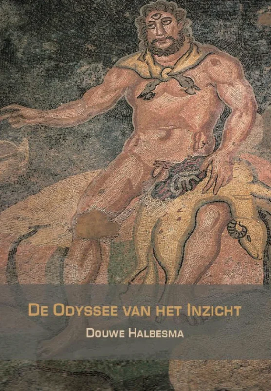 Gratis Verzending De Odyssee van het inzicht
