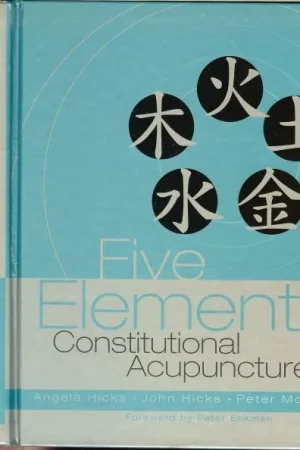 Alleen Vandaag Five Element Constitutional Acupuncture