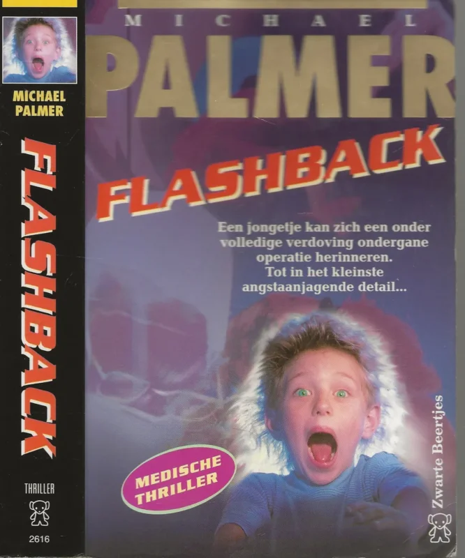 Dagaanbieding Flashback Palmer, Michael Vertaling Mariella Snel