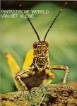 Geheimen der dierenwereld Fantastische wereld van het kleine Deel 9 Insekten Beperkte Voorraad