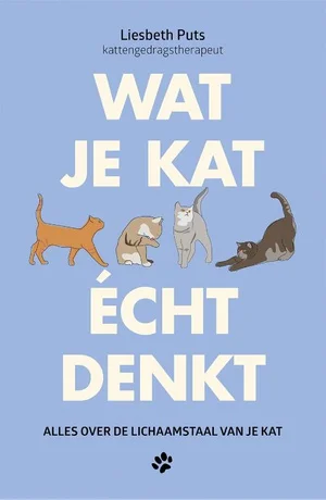 Wat je kat écht denkt Flitsaanbieding