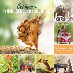 Favoriet Eekhoorn wijsheid in een notendop