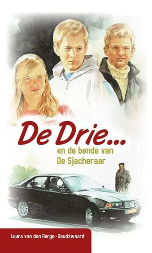 De drie en de bende van de Sjacheraar Rechtstreeks Van De Fabrikant