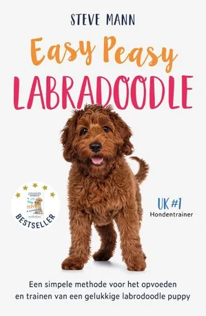 Flitsaanbieding Easy Peasy Labradoodle