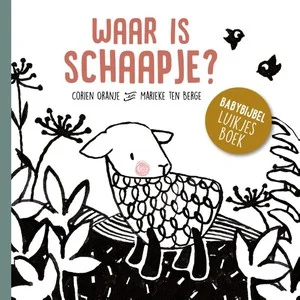 Direct Verzonden Waar Is Schaapje Kartonboek