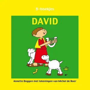 Direct Beschikbaar David B-boekje