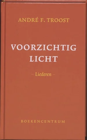 Betrouwbaar Voorzichtig Licht