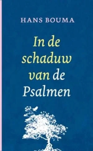 Lage Kosten In De Schaduw Van De Psalmen