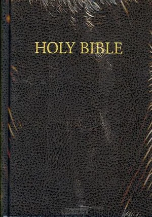 Engelse Bijbel Kjv + Psalmen E2 Lage Prijs