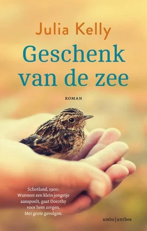 Geschenk Van De Zee Hoge Kwaliteit