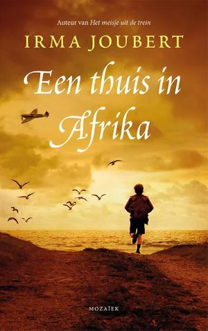 Een thuis in Afrika Lage Prijs