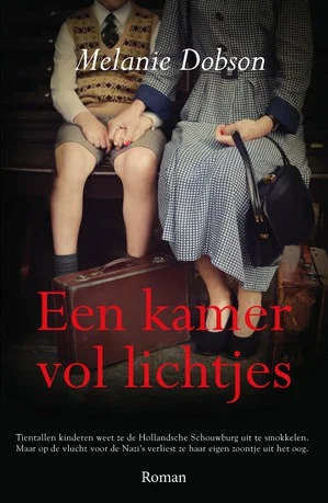 Seizoensaanbieding Een kamer vol lichtjes