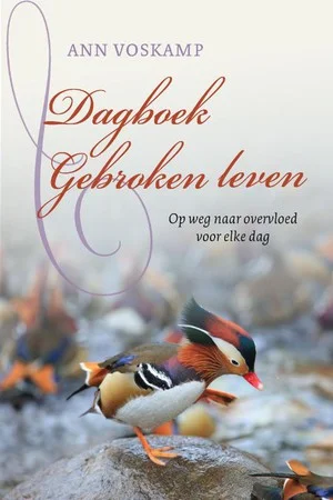 Dagboek Gebroken leven Meest Verkocht