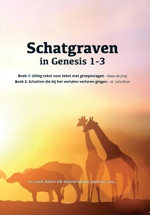 Aanbieding Schatgraven in Genesis 1-3