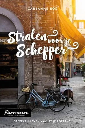 Fabrieksprijs Stralen voor je Schepper
