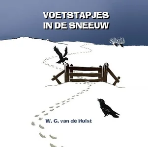 Voetstapjes In De Sneeuw Luisterboek Bestel Nu