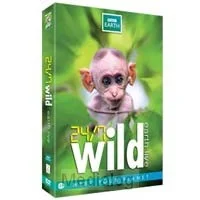 24/7 Wild - Earth Live (eo-bbc Earth Dvd Uitverkoop
