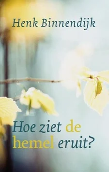 Gecertificeerd HOE ZIET DE HEMEL ER UIT?