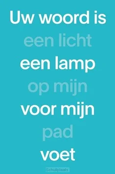NBV21 PAPERBACK (BLAUW) Voordeelprijs