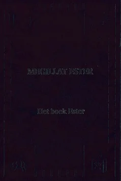 Betaalbaar MEGILLAT ESTER: HET BOEK ESTER