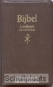 Nieuw BIJBEL MAJOR BRUIN LIEDBOEK KUNSTLEER KL
