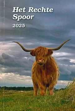 RECHTE SPOOR 2025 DAGBOEK Premium