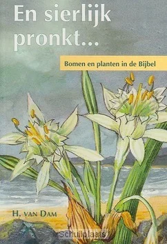 Voordeelprijs EN SIERLIJK PRONKT