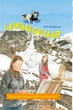 LAWINEGEVAAR Direct Verzonden